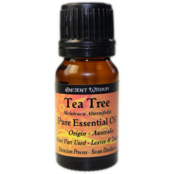 Essential Oil Tea Tree